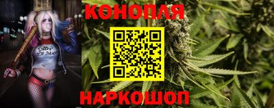 apvp Тверь