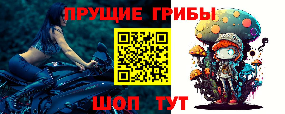 купить закладку  Галлюциногенные грибы мицелий  Галлюциногенные грибы MAGIC MUSHROOMS  Вход с VPN  Осинники 